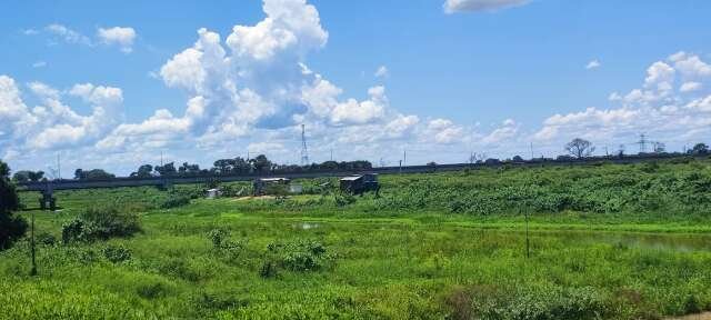 Plantas aquáticas fecham canal no Pantanal e afetam ribeirinhos