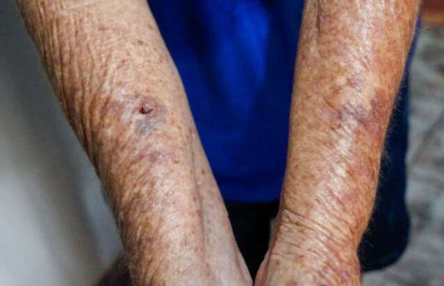 Ladrões levaram 84 mil de família e ameaçaram cortar pescoço de cão em assalto