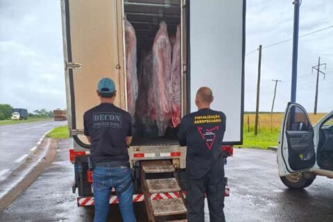 Abordagem leva polícia a entreposto com 4 toneladas de carne clandestina