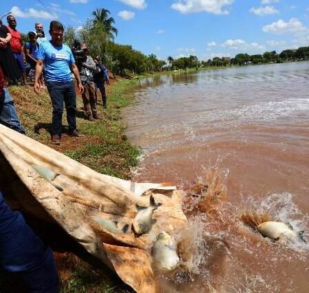 Lagos recebem 4 toneladas de peixe para pescaria de graça na cidade e aldeias