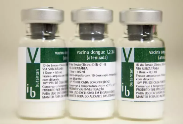 Vacina contra dengue do Butantan mantém proteção por cinco anos