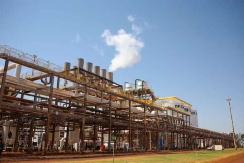 MS projeta safra recorde com 5 bilhões de litros de etanol