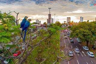 Preços sobem antes da COP15, mas hotéis ainda não sentem demanda