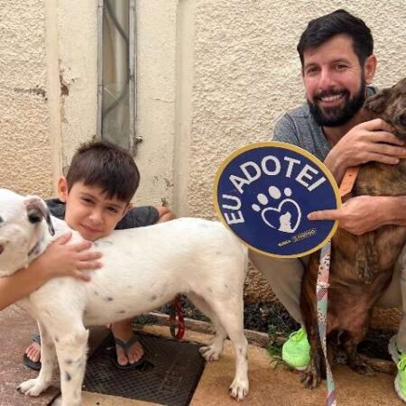 Praça da Bolívia terá feira de adoção exclusiva de cães adultos