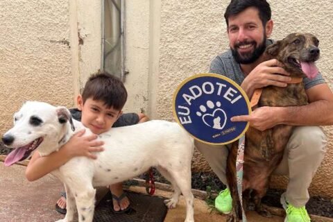 Praça da Bolívia terá feira de adoção exclusiva de cães adultos