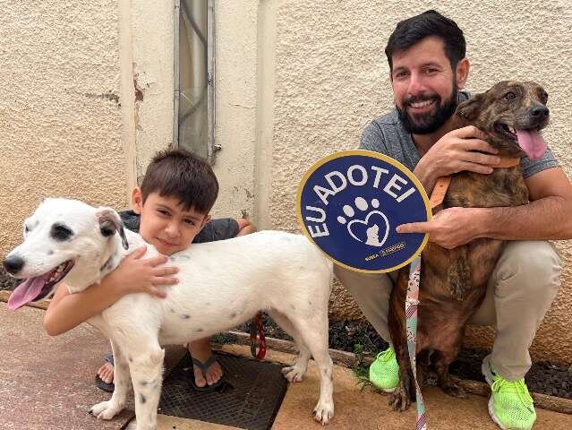 Praça da Bolívia terá feira de adoção exclusiva de cães adultos
