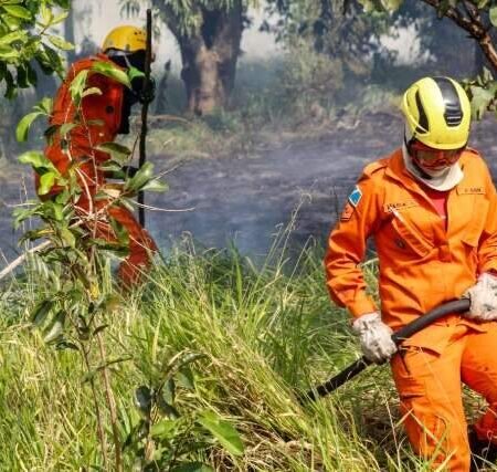 Bombeiros combatem fogo em terreno em frente a condomínio no Veraneio