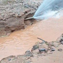Sem acesso pela rua, morador abre saída pelo quintal na Chácara dos Poderes