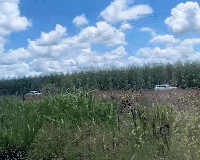 Colisão de carretas mantém BR-262 parcialmente interditada há mais de sete horas