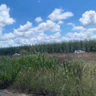 Colisão de carretas mantém BR-262 parcialmente interditada há mais de sete horas