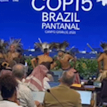 Ritual de celebração dos terena, dança da ema é apresentada na COP15