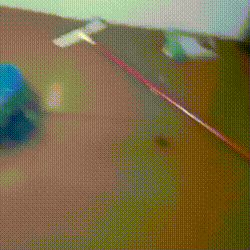 Chuva invade casa no Centro-Oeste e família perde móveis