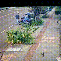 Dupla furta motocicleta estacionada em frente a loja no Centro