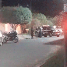 Guarda municipal atira e mata cachorro após ataque a animal de estimação