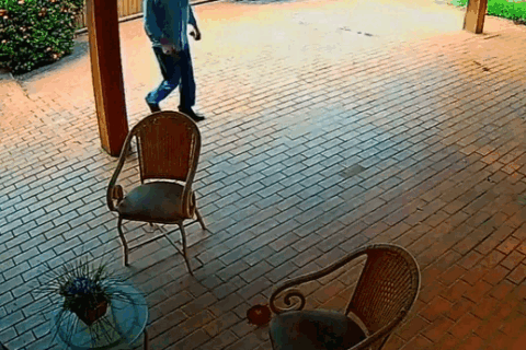 Sem pressa para libertar Bernal, defesa segura habeas corpus