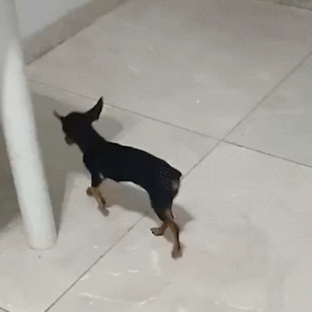 Dona Moela tem pata calcificada, pula de dor e precisa de ajuda