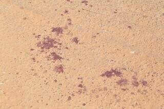 Réu que matou homem com 9 facadas no Jardim Monumento é condenado a 12 anos