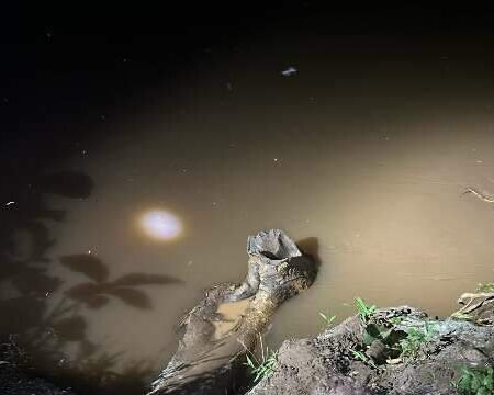 Pescador escorrega de tronco de árvore se afoga no Rio Jatobá em Rochedo