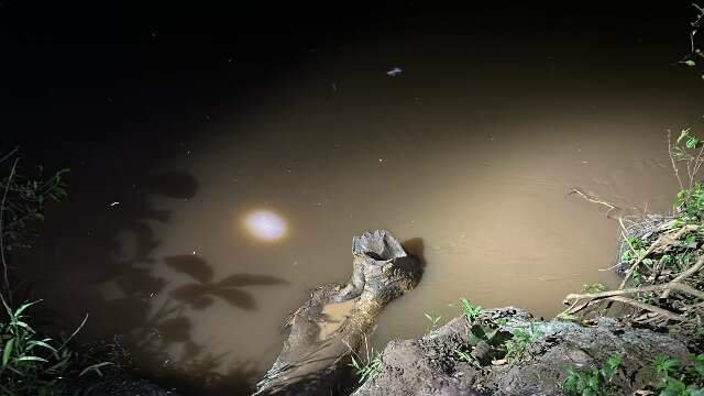 Pescador escorrega de tronco de árvore se afoga no Rio Jatobá em Rochedo