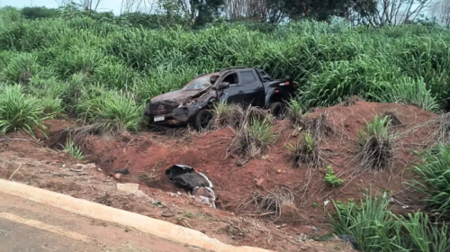 Motorista capota caminhonete roubada na MS-276 e acaba preso