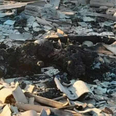 Ex é preso suspeito de matar mulher queimada e MS chega a 7 feminicídios