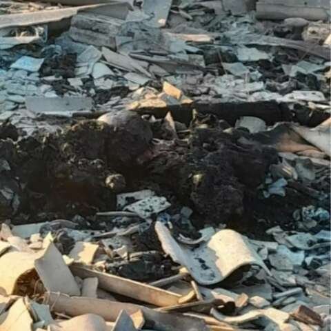 Ex é preso suspeito de matar mulher queimada e MS chega a 7 feminicídios