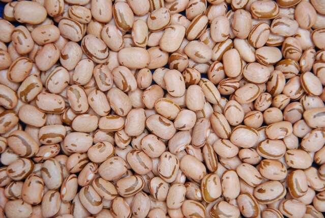 Definida janela do plantio de feijão para reduzir risco climático na safra