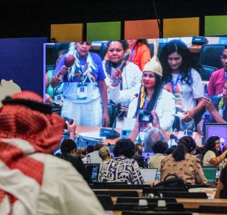 COP15 encerra debates e decisões têm peso legal para todos os países parte