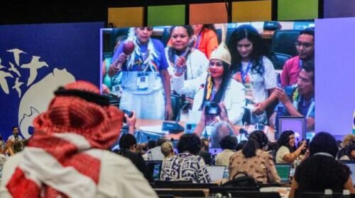 COP15 encerra debates e decisões têm peso legal para todos os países parte