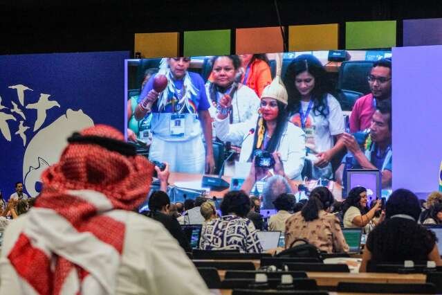 COP15 encerra debates e decisões têm peso legal para todos os países parte