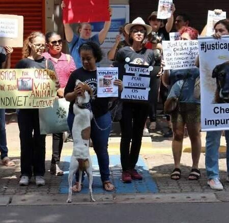 Multa por maltratar animais pode chegar a R$ 1 milhão em novo decreto