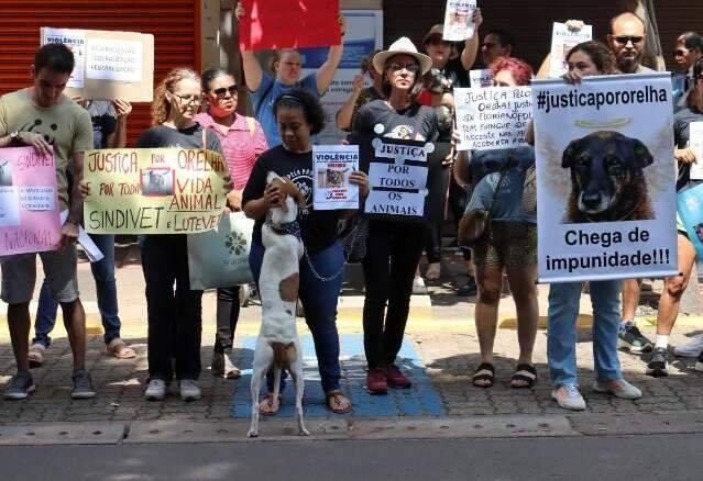 Multa por maltratar animais pode chegar a R$ 1 milhão em novo decreto