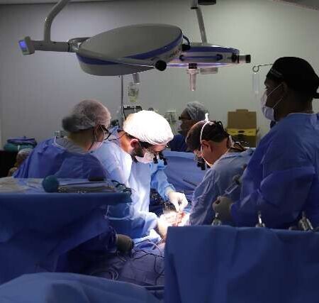 Capital faz o mais difícil, mas tem carência no tratamento básico do fígado