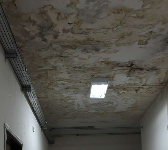 Acadêmicos denunciam condições precárias de laboratório da UFMS