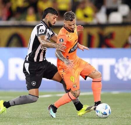 Botafogo perde para Barcelona e se despede da Libertadores