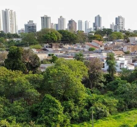 MS está entre maiores emissores de CO₂ e pecuária lidera, aponta relatório