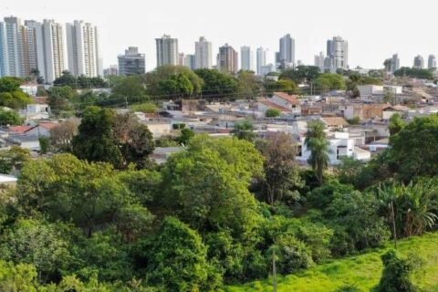 MS está entre maiores emissores de CO₂ e pecuária lidera, aponta relatório