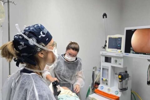 Capital terá mutirão de colonoscopia no próximo domingo