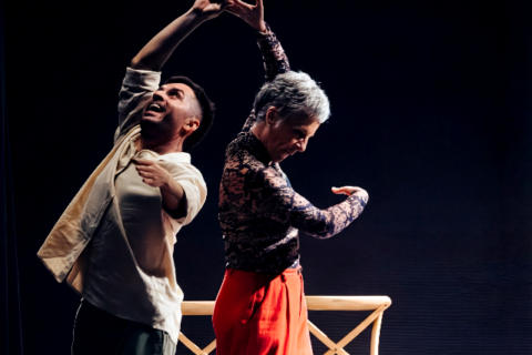 Projeto de dança para os 60+ chega a Vicentina com oficina e espetáculo