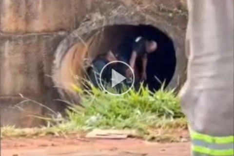 Preso em galeria do Anhanduí disse que ganharia droga por furto de carro