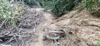 Moto encontrada com ossada é compatível com a de casal desaparecido