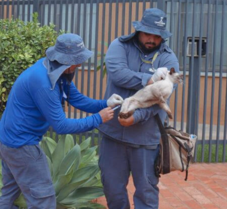 Vacinação vai de casa em casa no Maria Aparecida Pedrossian e Damha