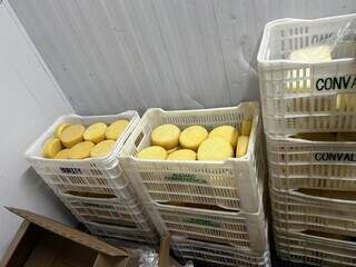 Alemão acaba preso após apreensão de 10,4 toneladas de alimentos irregulares Alemão acaba preso após apreensão de 10,4 toneladas de alimentos irregulares