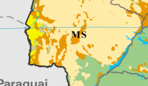 MS vai além de Cerrado e Pantanal: mapa revela mosaico de vegetações