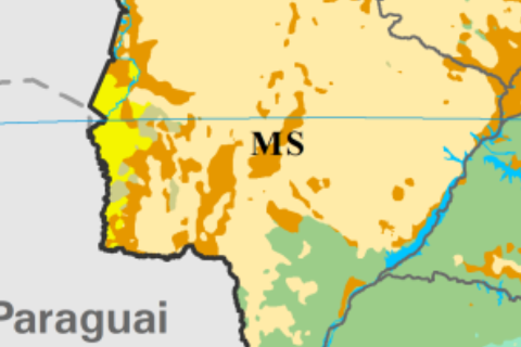 MS vai além de Cerrado e Pantanal: mapa revela mosaico de vegetações