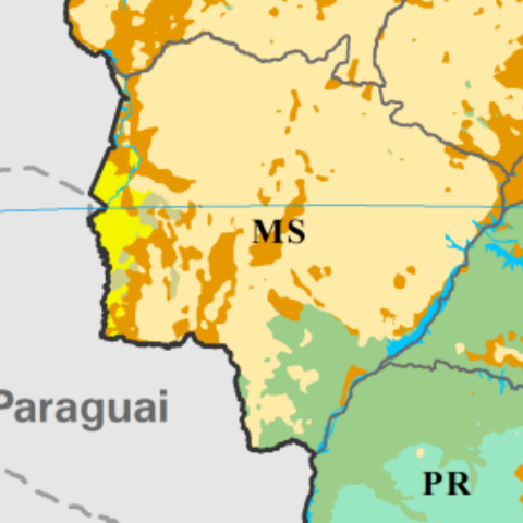 MS vai além de Cerrado e Pantanal: mapa revela mosaico de vegetações