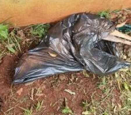 Cadela é encontrada morta em saco de lixo e tutora presa por maus-tratos