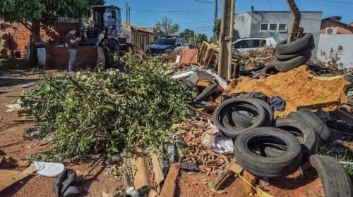 Prefeitura analisa 515 denúncias de terrenos sujos feitas pelo aplicativo +CG