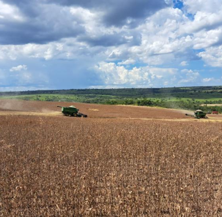 Produtividade da soja sobe e pode levar safra a 17,7 milhões de toneladas