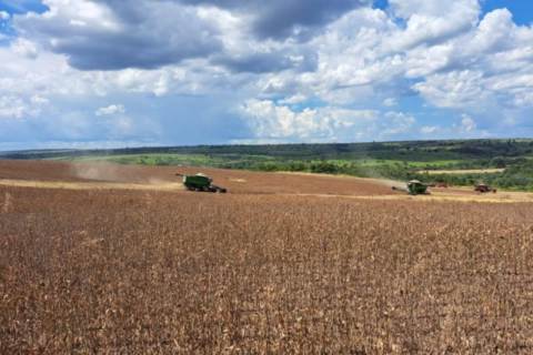 Produtividade da soja sobe e pode levar safra a 17,7 milhões de toneladas